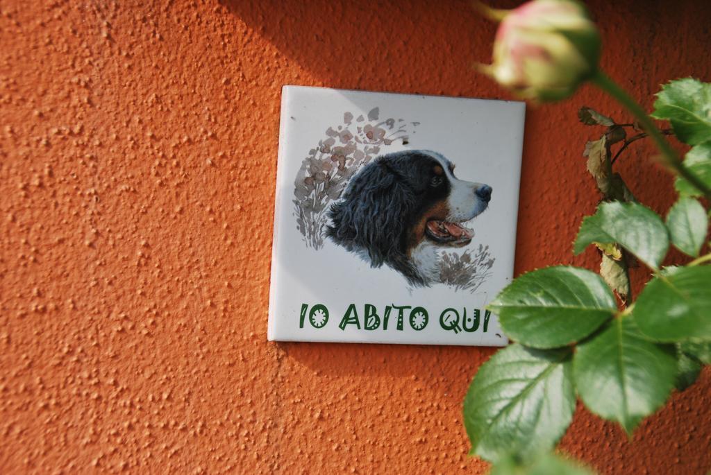 Villetta Gaia Colle Umberto  Exteriör bild